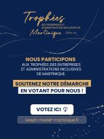 VOTEZ/ TROPHEES DES ENTREPRISES ET ADMINISTRATIONS INCLUSIVES DE MARTINIQUE