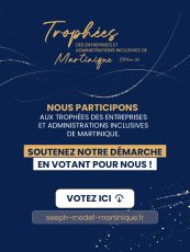 VOTEZ/ TROPHEES DES ENTREPRISES ET ADMINISTRATIONS INCLUSIVES DE MARTINIQUE