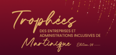 4ème édition des Trophées des Entreprises & Administrations Inclusives de Martinique.