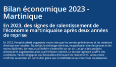 Bilan économique 2023-Martinique