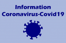 CORONAVIRUS : SUSPENSION DE L'ACCUEIL DANS LES CFA ET LES ORGANISMES DE FORMATION ET CONTINUITE D'ACTIVITE A DISTANCE