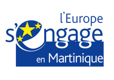 Lancement des appels à projets 2018 IEJ Martinique et du PO FSE ETAT 2014-2020