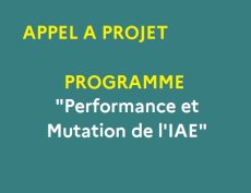 Appel à projet – Programme « Performance et Mutation de l'IAE »