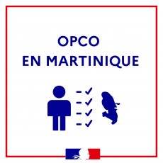 Les opérateurs de compétences à la Martinique